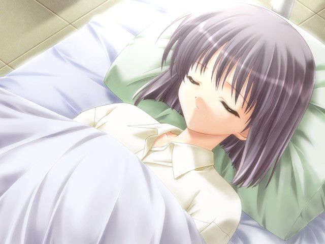 canvas_dvd099