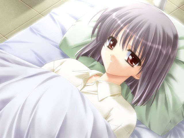 canvas_dvd100