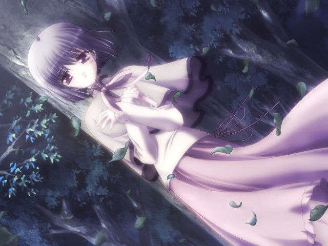 canvas_dvd103