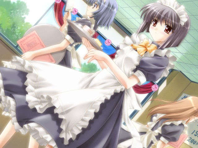 canvas_dvd107