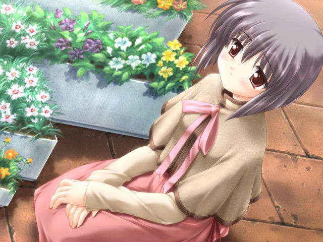 canvas_dvd110