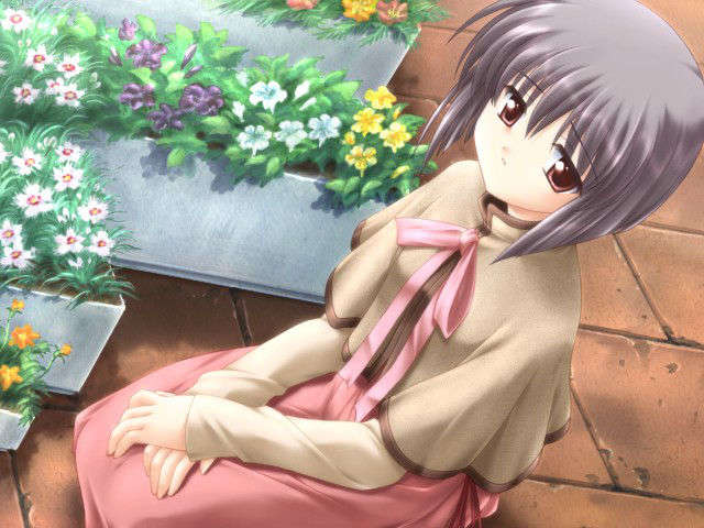 canvas_dvd111