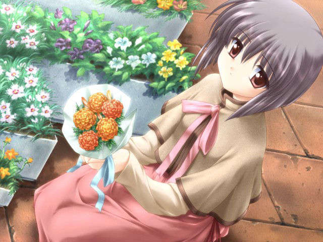 canvas_dvd112