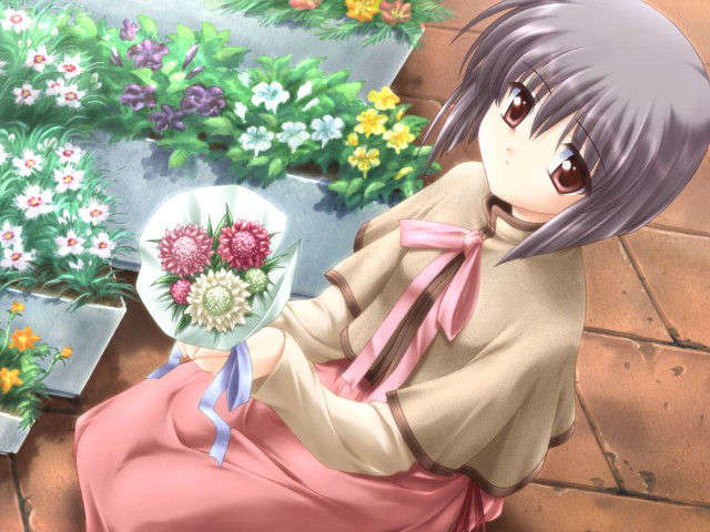 canvas_dvd114