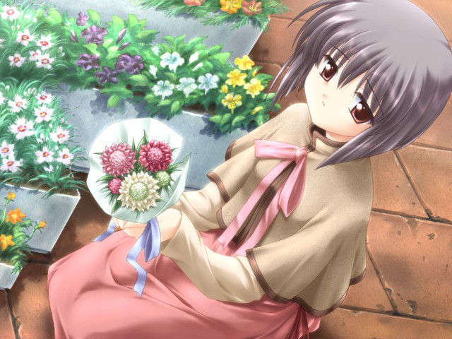 canvas_dvd116