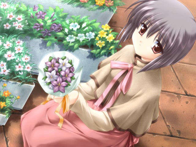 canvas_dvd117
