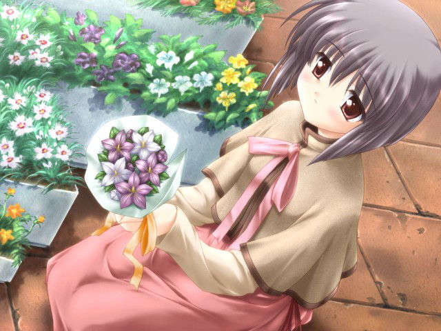 canvas_dvd118