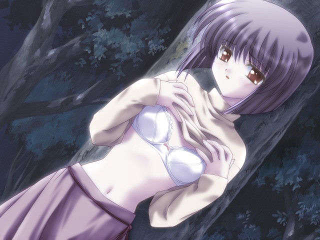 canvas_dvd119