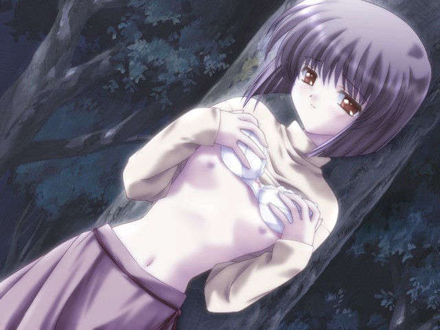 canvas_dvd120