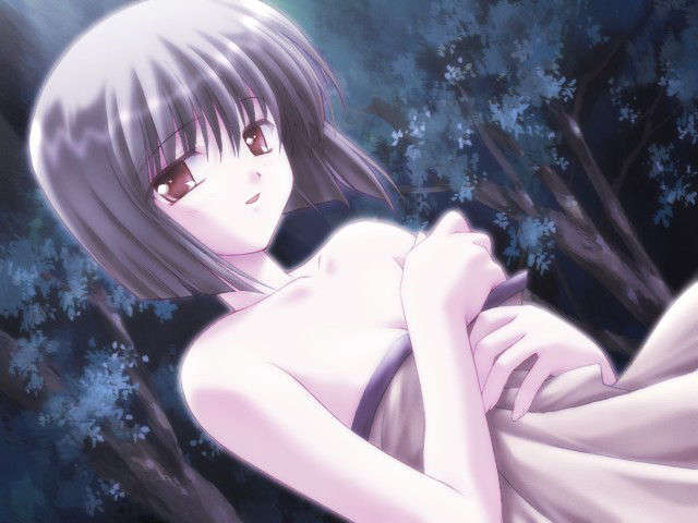 canvas_dvd127