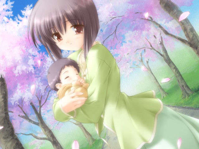 canvas_dvd130