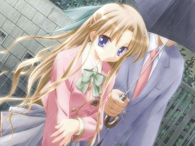 canvas_dvd133