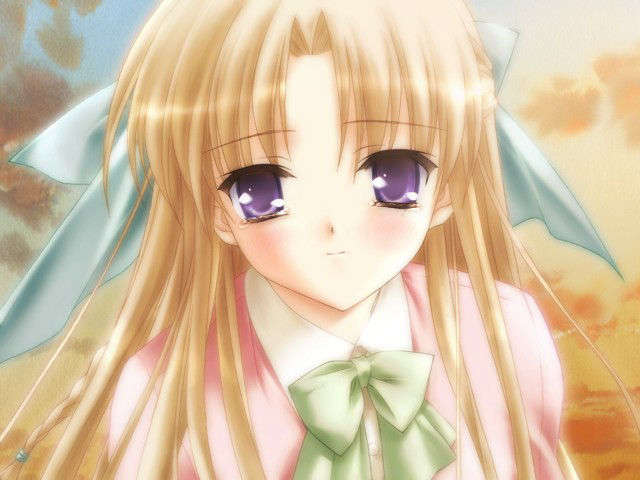 canvas_dvd150