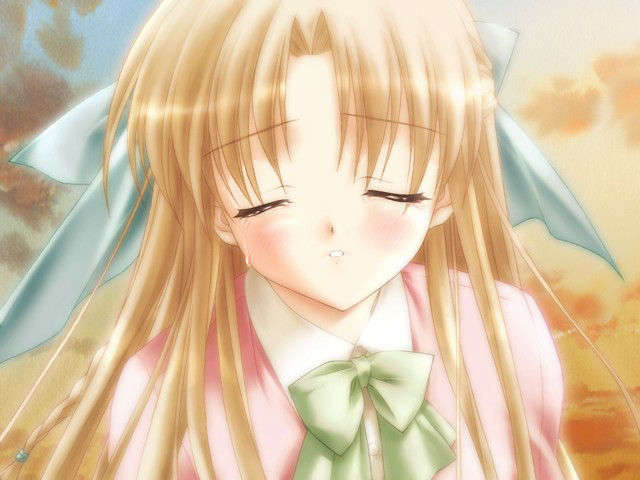 canvas_dvd151