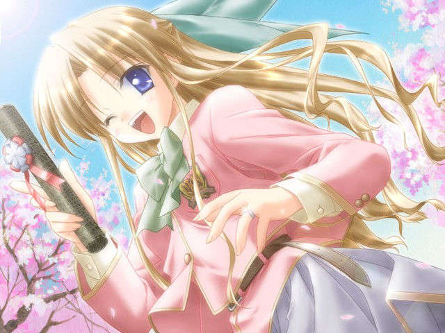 canvas_dvd165
