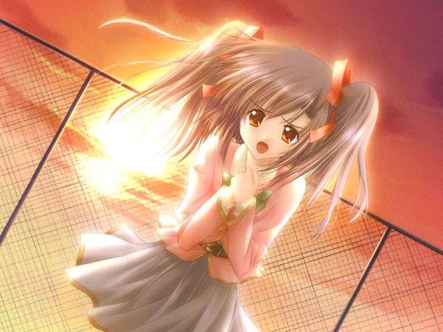 canvas_dvd180