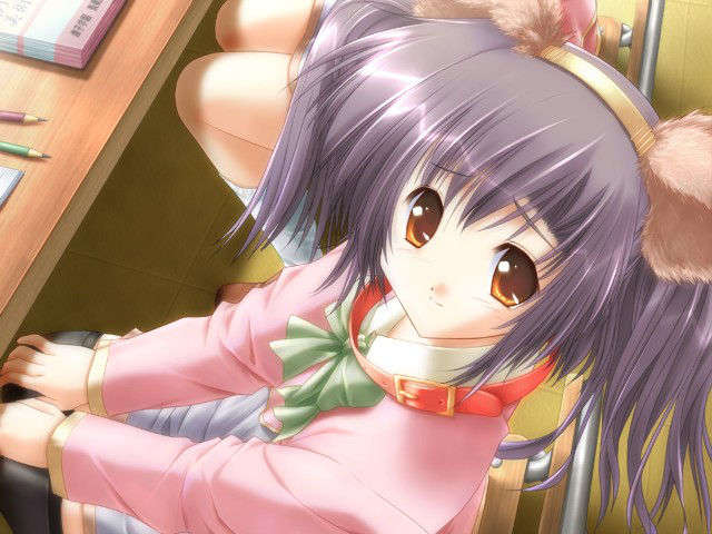 canvas_dvd181