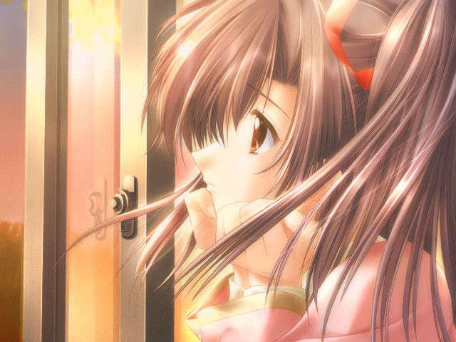 canvas_dvd182