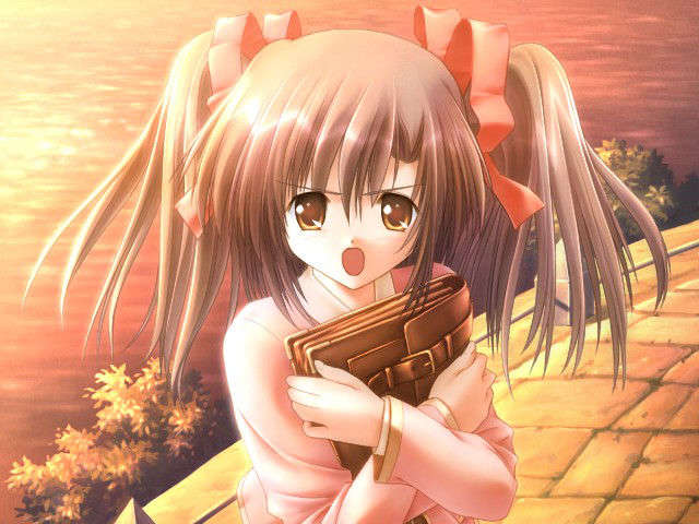 canvas_dvd183
