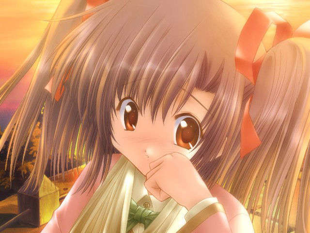 canvas_dvd189