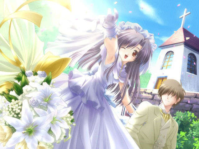 canvas_dvd198
