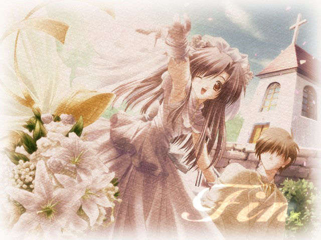 canvas_dvd199