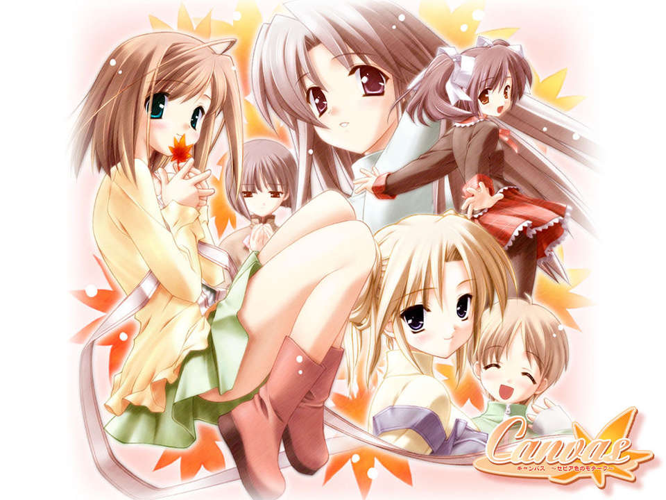canvas_dvd200