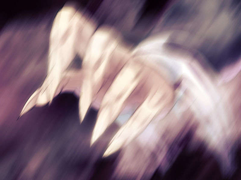 ev