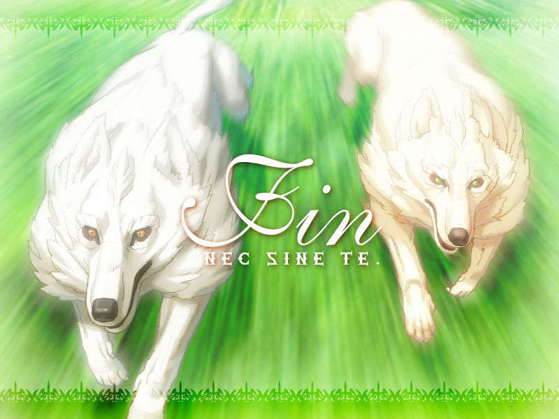 ev_ed_kaze