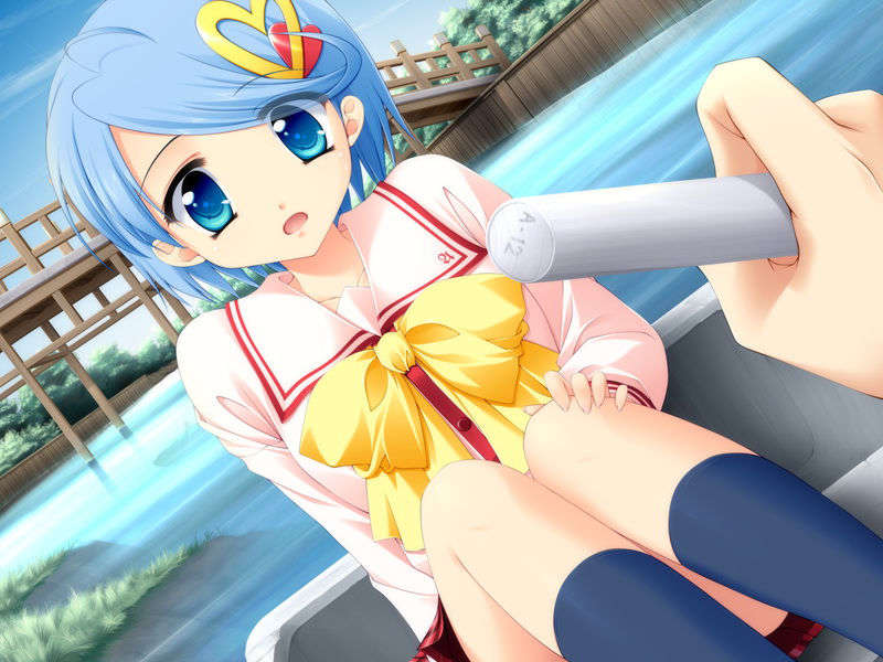 sea1225 EV0294