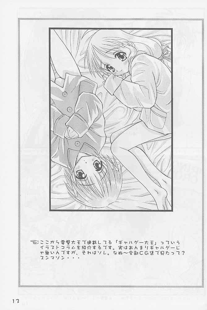 paradaimu_p12