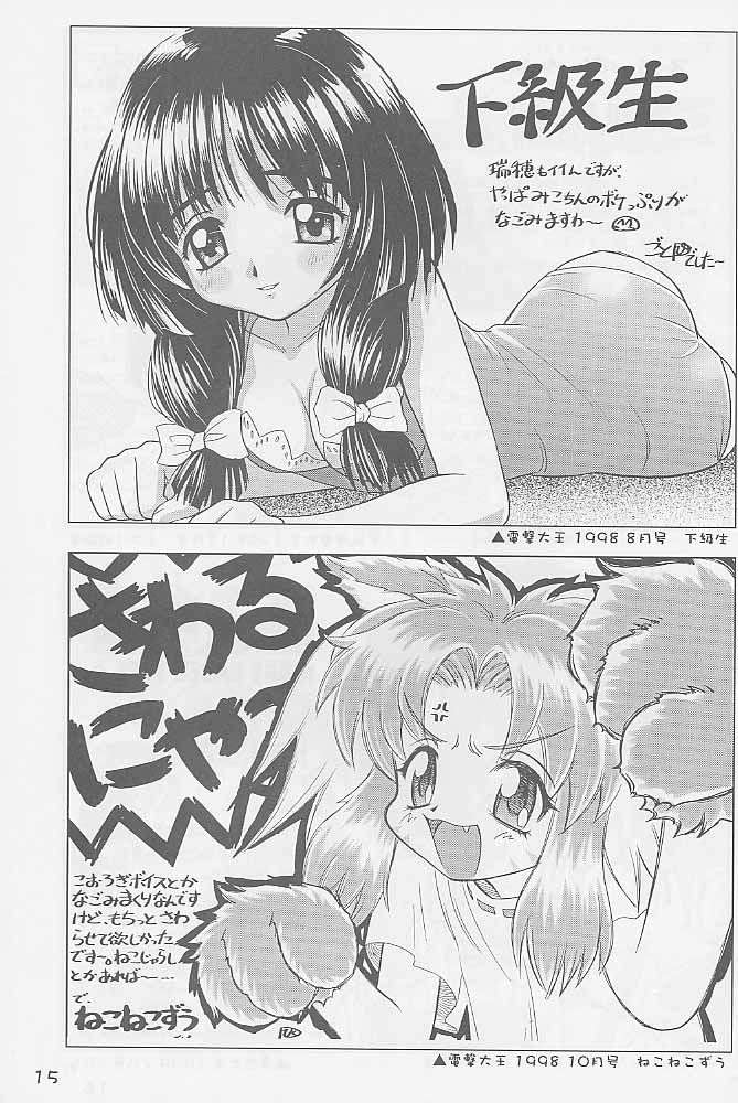 paradaimu_p14