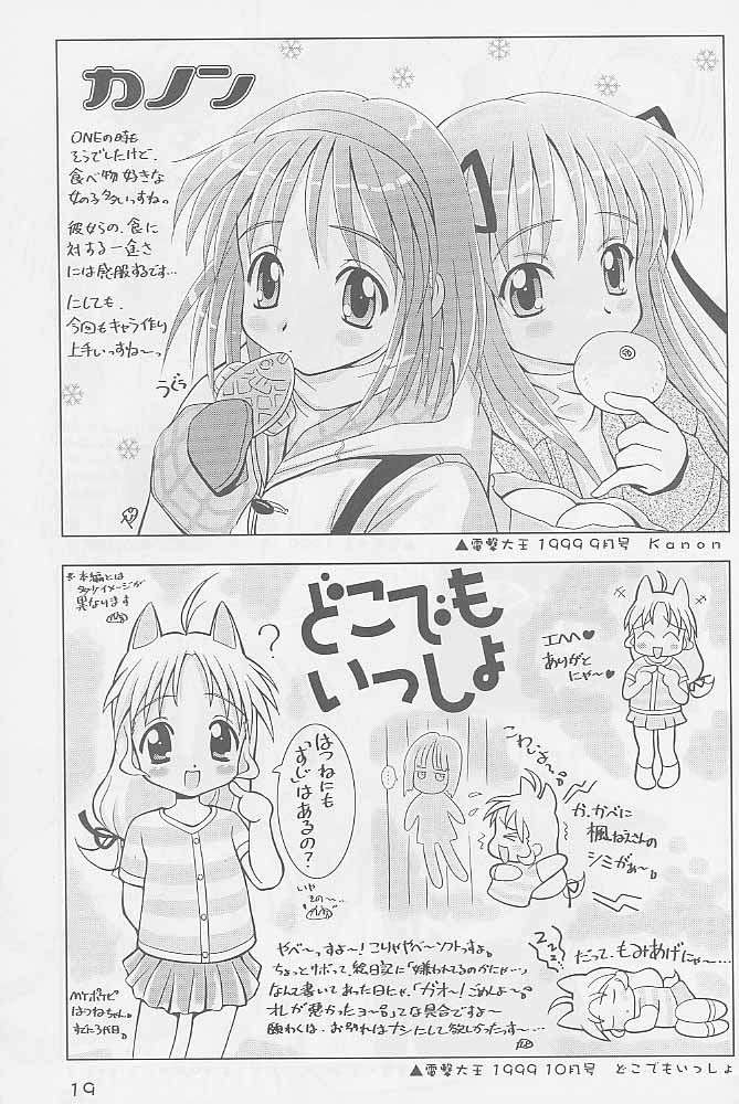 paradaimu_p18