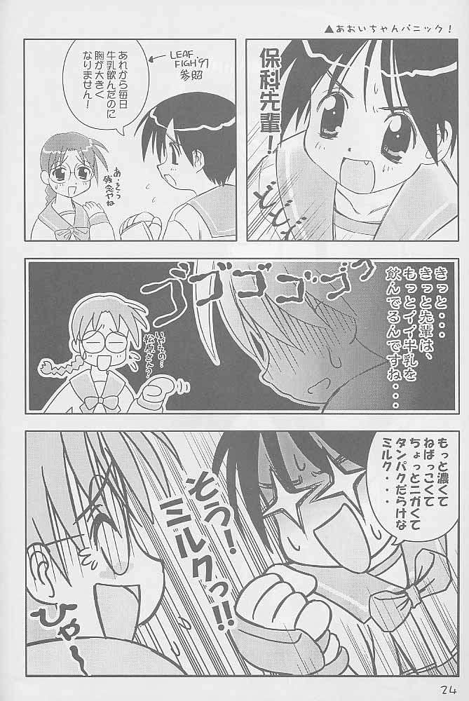 paradaimu_p23