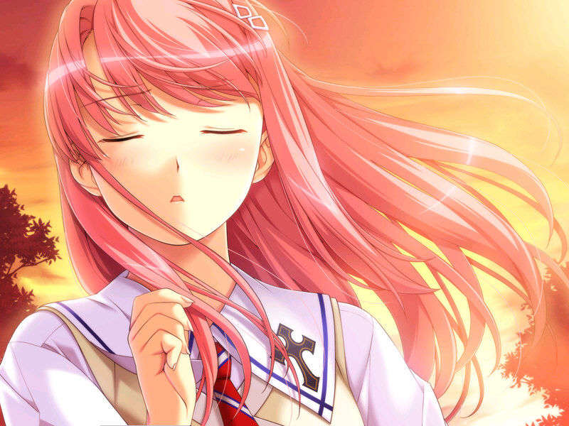kimi_023