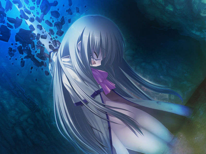 sea1225 0061
