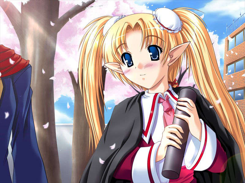 EV11