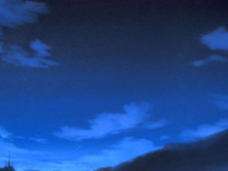 flora05_a_00