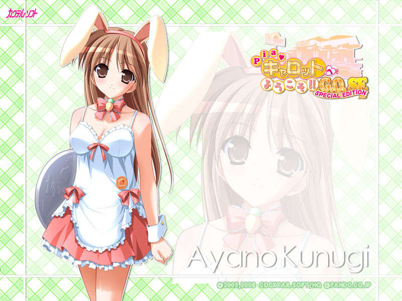 piagose_wp_ayano800x600
