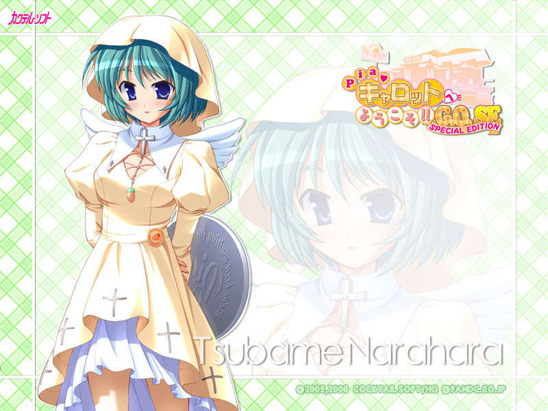piagose_wp_tsubame800x600