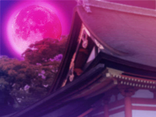 bg05