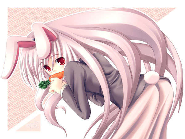 tateha05_a