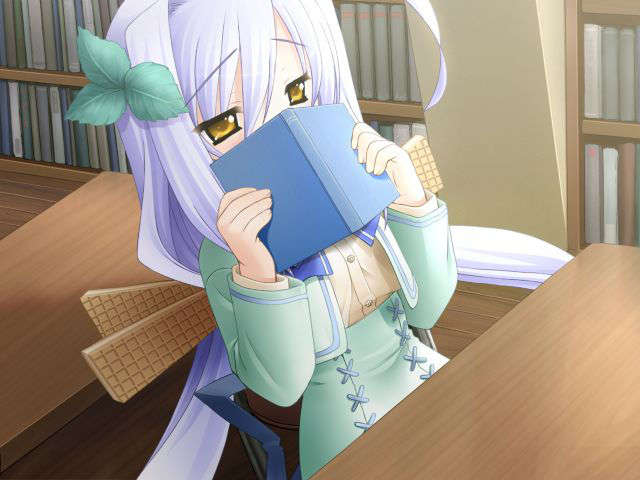 EV4A01B2