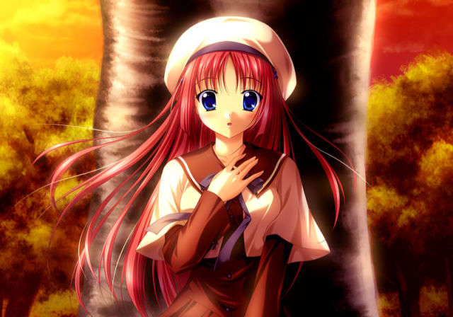 EV11_B