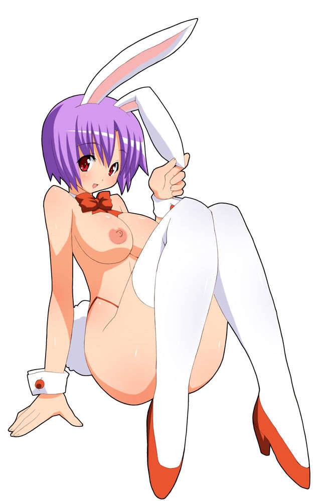 bunny01bs