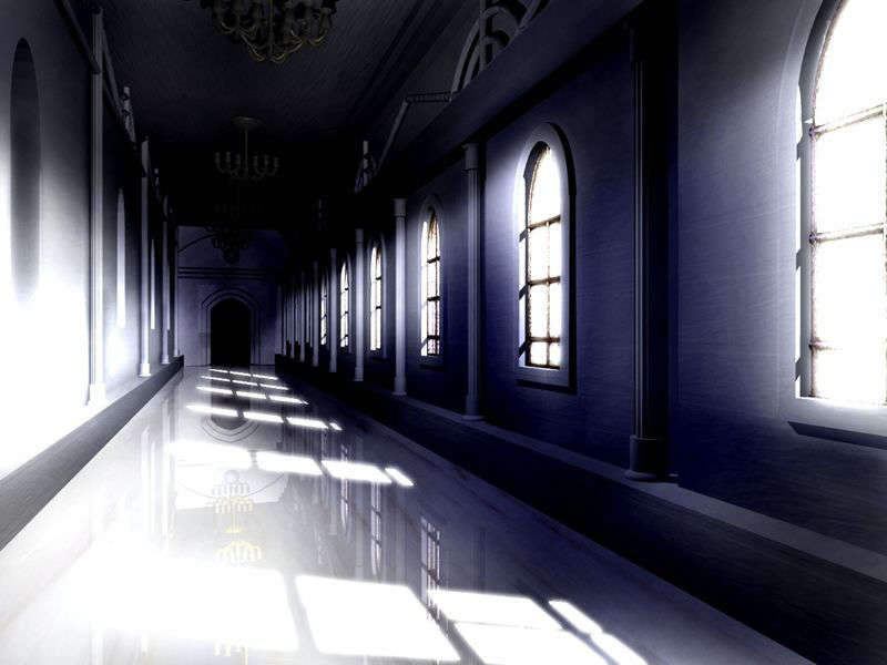 Bg_24