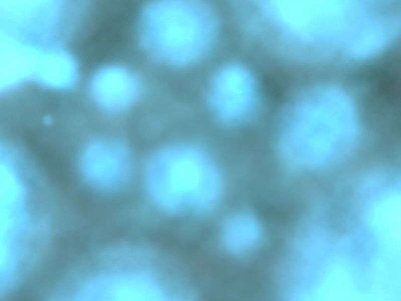 bg_29b