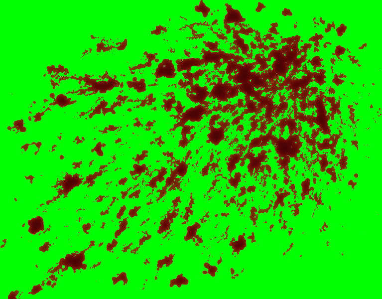 BL_01