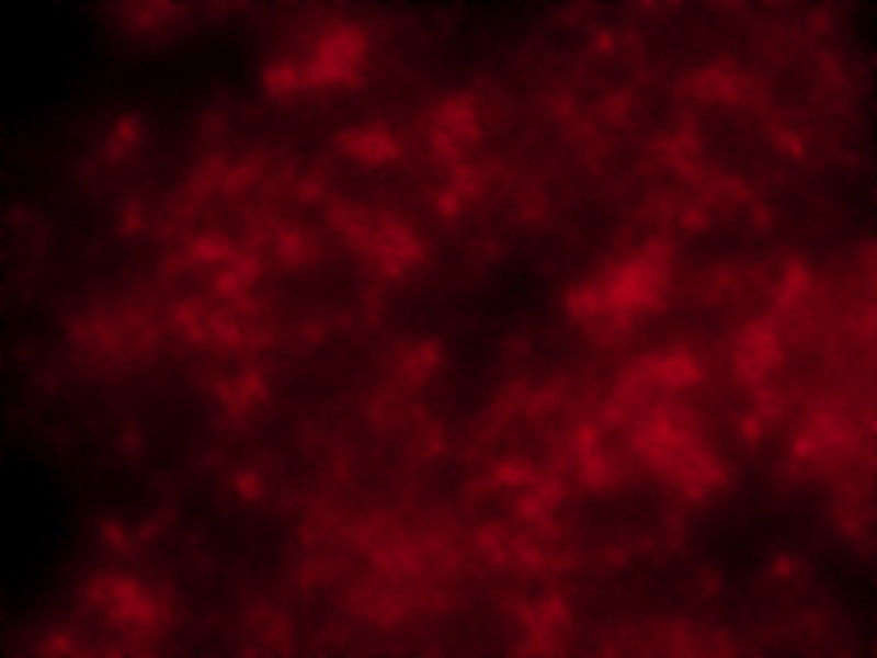 bg151