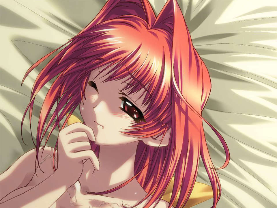 6014bbdd
